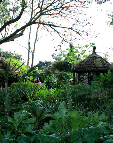 Exotic Garden of Bouknadel