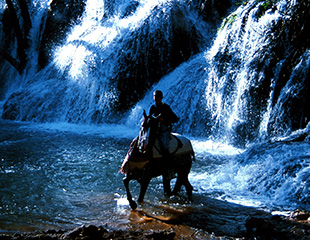 Explore Ifrane’s Stunning Nature: A Travel Guide to Morocco’s Switzerland