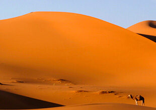 Discover Adventure Sports in Ouarzazate, Zagora & Tinghir