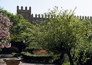 Explore Nature in Rabat: A Travel Guide to Scenic Spots