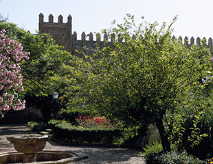 Explore Nature in Rabat: A Travel Guide to Scenic Spots