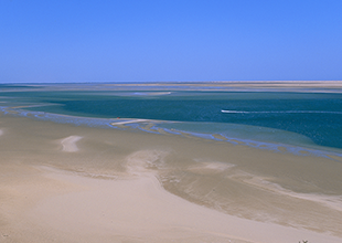 Discover Dakhla’s Pristine Beaches: Your Ultimate Travel Guide