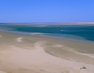 Discover Dakhla’s Pristine Beaches: Your Ultimate Travel Guide
