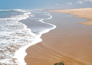 Discover Essaouira-Mogador: Beach Bliss Awaits You!