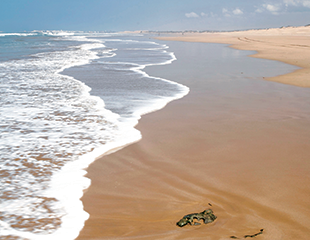 Discover Essaouira-Mogador: Beach Bliss Awaits You!