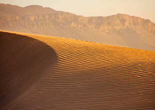 Discover Nature’s Wonders in Ouarzazate-Zagora-Tinghir