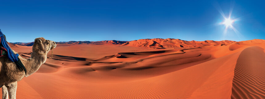 Discover Taroudant: Marrakech’s Hidden Gem for Travelers