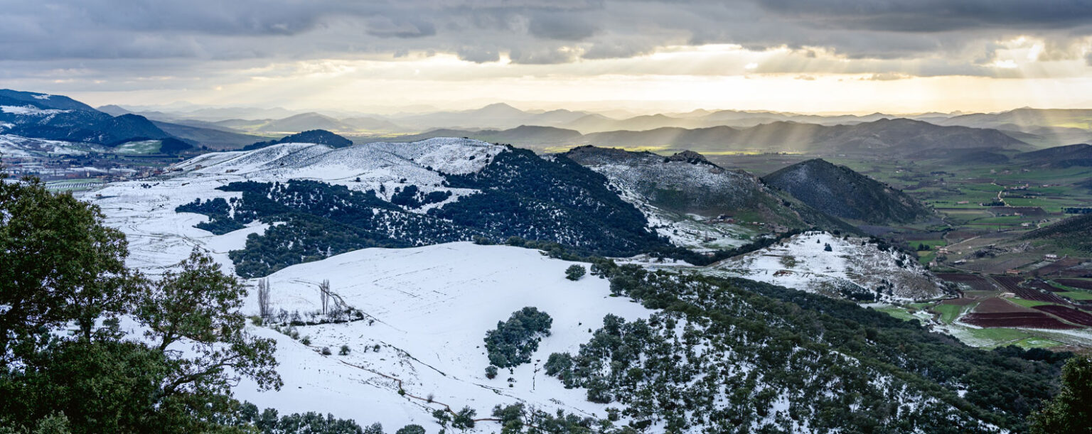Discover Ifrane: Morocco’s Charming ‘Little Switzerland’
