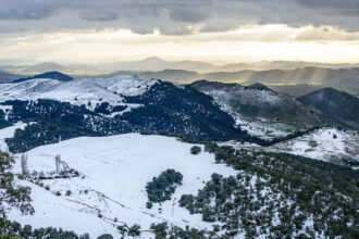 Discover Ifrane: Morocco’s Charming ‘Little Switzerland’