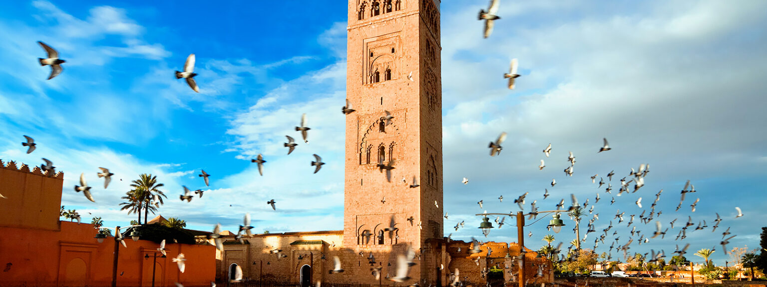Discover Marrakech: Uncovering the Unexpected Gems
