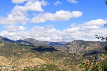 Explore The Honey Road: A Sweet Journey Through Nature’s Beauty