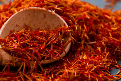 Ultimate Guide to Shopping in Taroudant: Local Treasures Await!