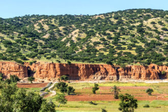Discover Taroudant: Nature’s Hidden Gems for Travelers