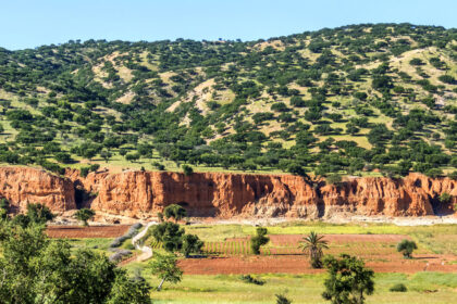 Discover Taroudant: Nature’s Hidden Gems for Travelers