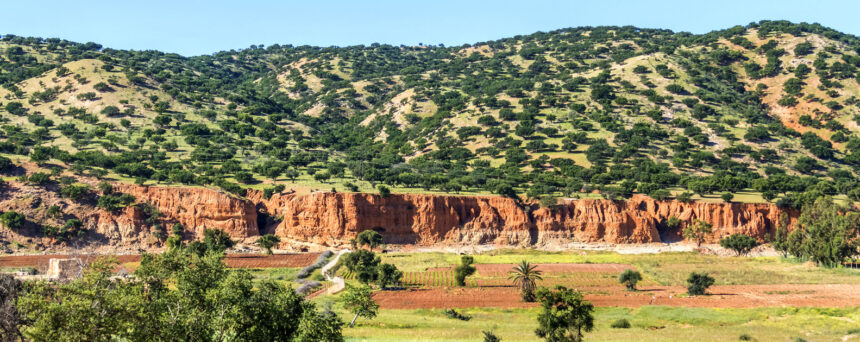 Discover Taroudant: Nature’s Hidden Gems for Travelers